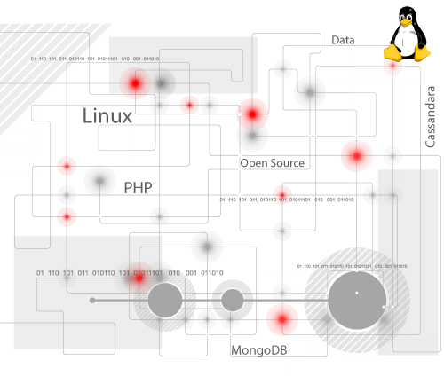 OM Software, Discovering Software Technologies